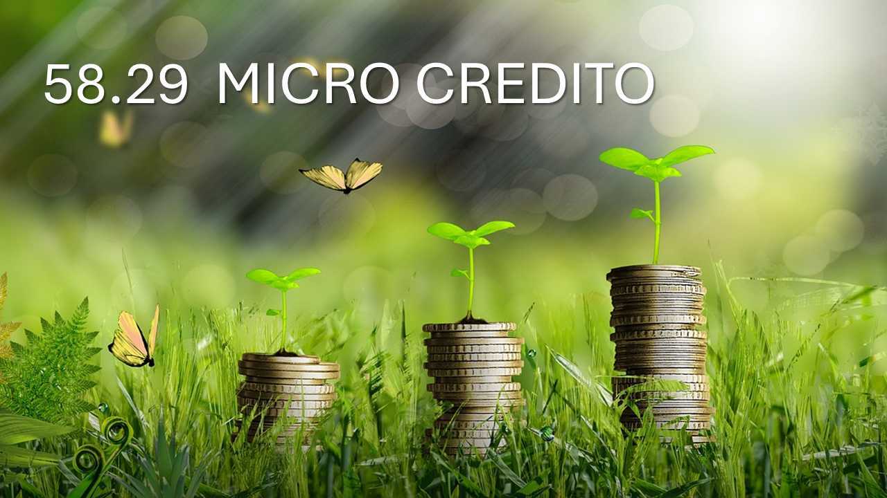 Micro credito PMI